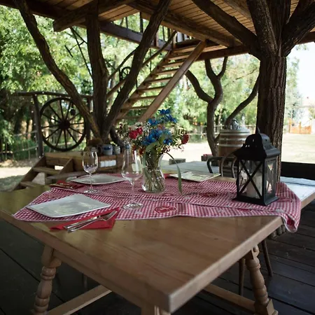 Ehm Baumhaus Nahe Therme & Mesteri