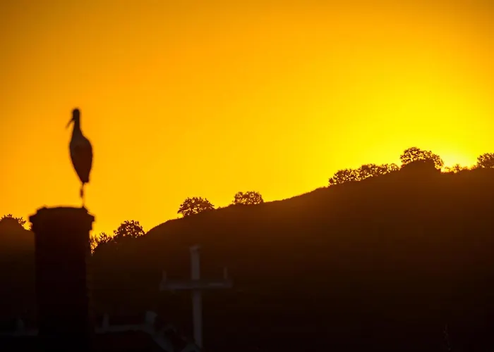 Ehm Baumhaus Nahe Therme & * Mesteri