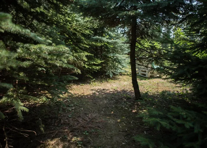 Ehm Baumhaus Nahe Therme & Mesteri